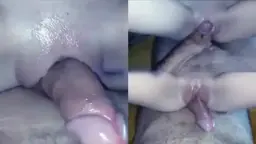 Memek Mulus Menggesek Kontol Keras