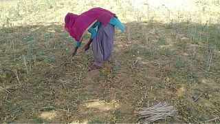 देसी इंडियन बॉयफ्रेंड ने खेत में काम कर रही उसकी मस्त चोदा
