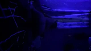 A Video Of A Student Having Sex With Her Boyfriend