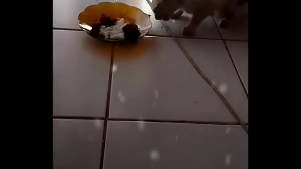 Anita, Siap Digoyang Sampai Lupa Diri.