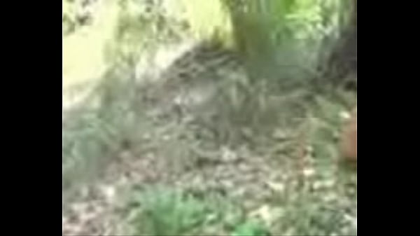 Baru Aja Keluar Video Desi 3gp, Bikin Pengen Ngeliat Sambil Megang-megang Sendiri.