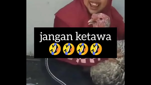 Gadis Gendut Ngeces Nafsu Sambil Ngakak Liar.